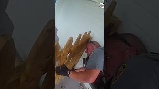 This Green Iguana Caused a 911 Call! 🦎#bodycam