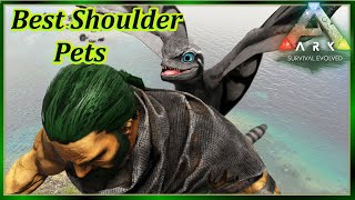 TOP 7 Best Shoulder Pets in Ark: Survival Evolved!