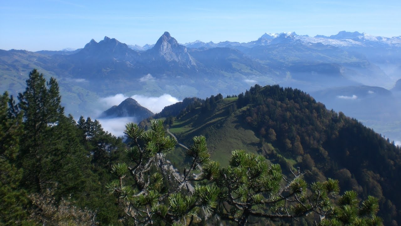 Aufgeheizte Berge: Was passiert in den Alpen? | Klimawandel | Artenvielfalt | Unkraut | Doku | BR