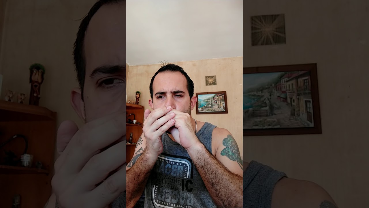 Tango con armónica- "Como dos extraños"