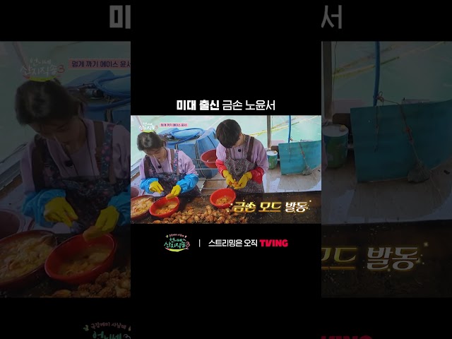 역시 미대 출신은 다르네???? | TVING | #언니네산지직송3 #Fresh_off_the_Sea3