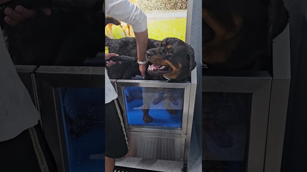 GOOD Clean Family Fun