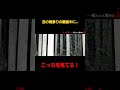 熊?鹿?猪?幽霊さん?#丑の刻参り#藁人形#ラストナイトtv #心霊#心霊スポット#幽霊#ghost#short #呪い