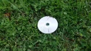 Destroying 3 Stooges The Movie Dvd