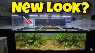 High Stakes Test filling the Dogbone Aquarium and New Layout Reveal? 