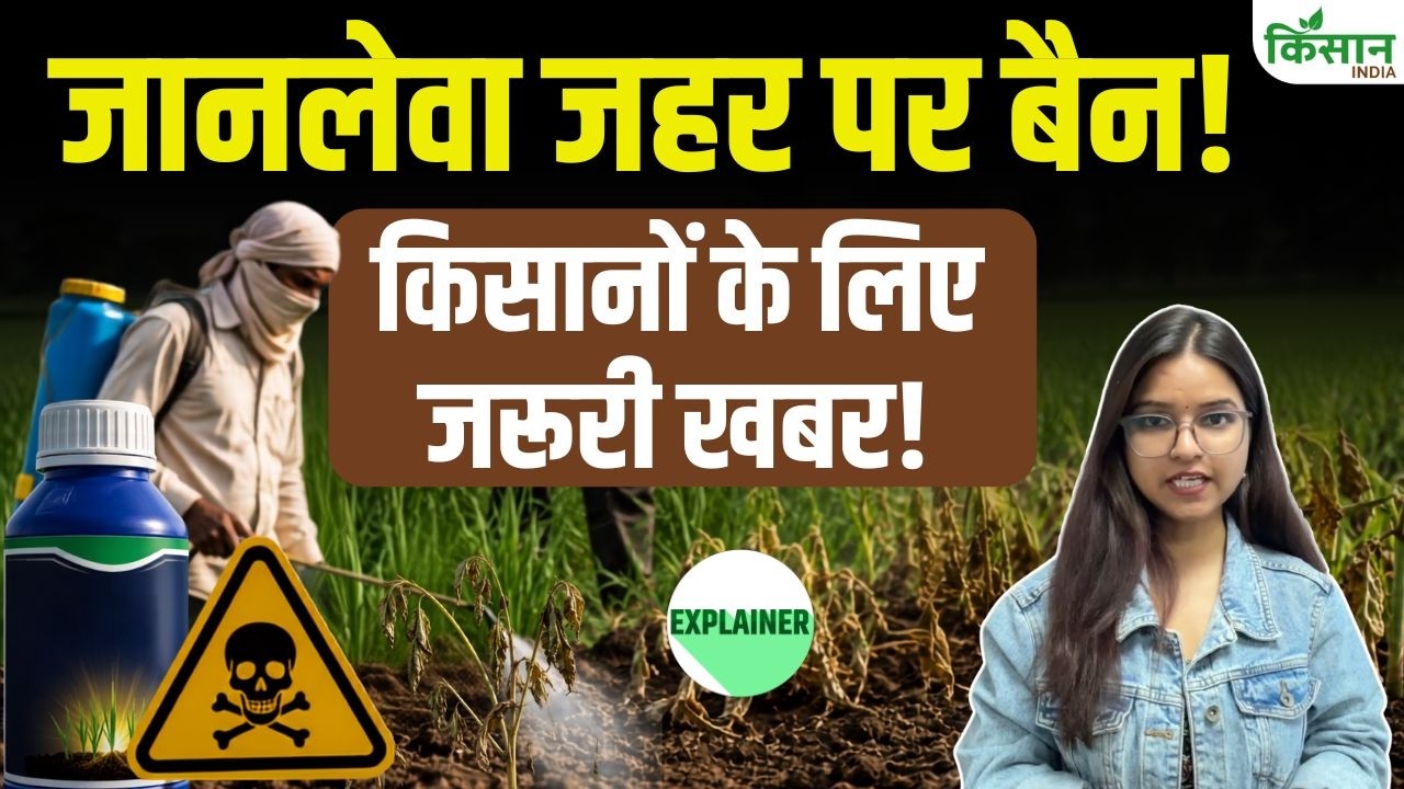 केंद्र सरकार का बड़ा फैसला, इस जानलेवा खरपतवारनाशक पर लगाया बैन! Paraquat Herbicide Ban Explained