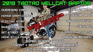 (E1) 2019 TaoTao Hell Cat Raptor 125cc (Grom clone) Assembly test review