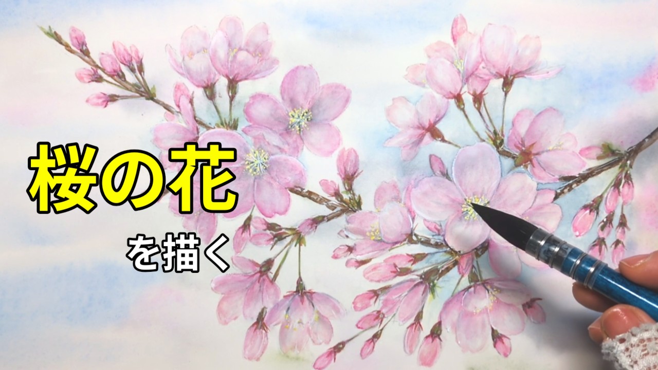 Painting cherry blossoms 🌸 | Watercolor - YouTube