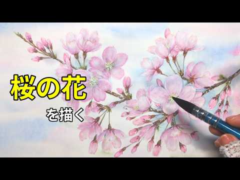 Painting cherry blossoms 🌸 | Watercolor - YouTube