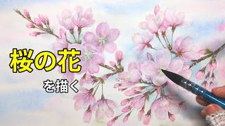 Painting cherry blossoms 🌸 | Watercolor - YouTube