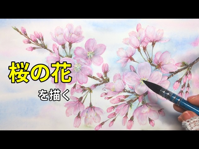 Painting cherry blossoms 🌸 | Watercolor - YouTube