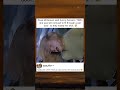 Rose McGowan’s Shirt Nailed for Scream Scene