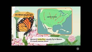 L2 044 Meet the Animals 44   Manarch Butterfly Net Worth