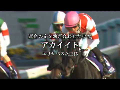 【競馬MAD】2021年競馬集(宝塚記念PV風)