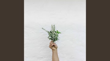 Background for Meditation Keynotes