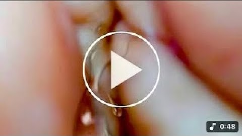 Portrait Video Baimint Nanny Canon Natasha Lyonne