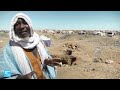 موريتانيا.. حمى البحث عن الذهب في الصحراء الكبرى