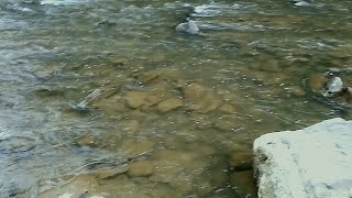 my old fishing videos 137