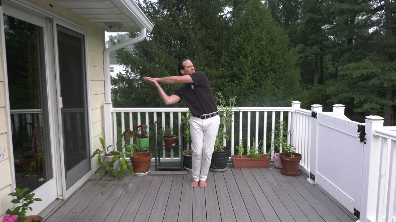 wechat5 Swimming Dragon   HD 1080p