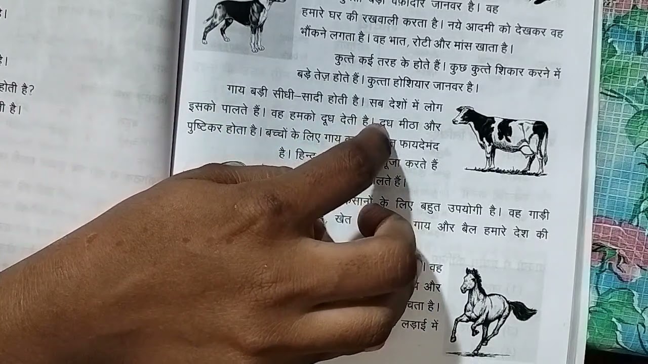 Prathmic New Syllabus Lesson 5 palthu jaanvar Detailed Explanation Learning in Tamil