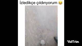 Köpeğin İntikamı... Geh Kucu Hu Kıs Kıs Kıs Kıs
