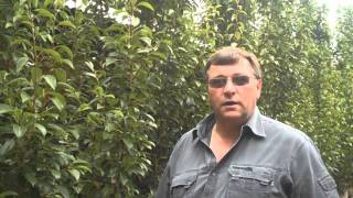 Boer Maak N Plan Kan Hoenders Snuitkewers Kelder?