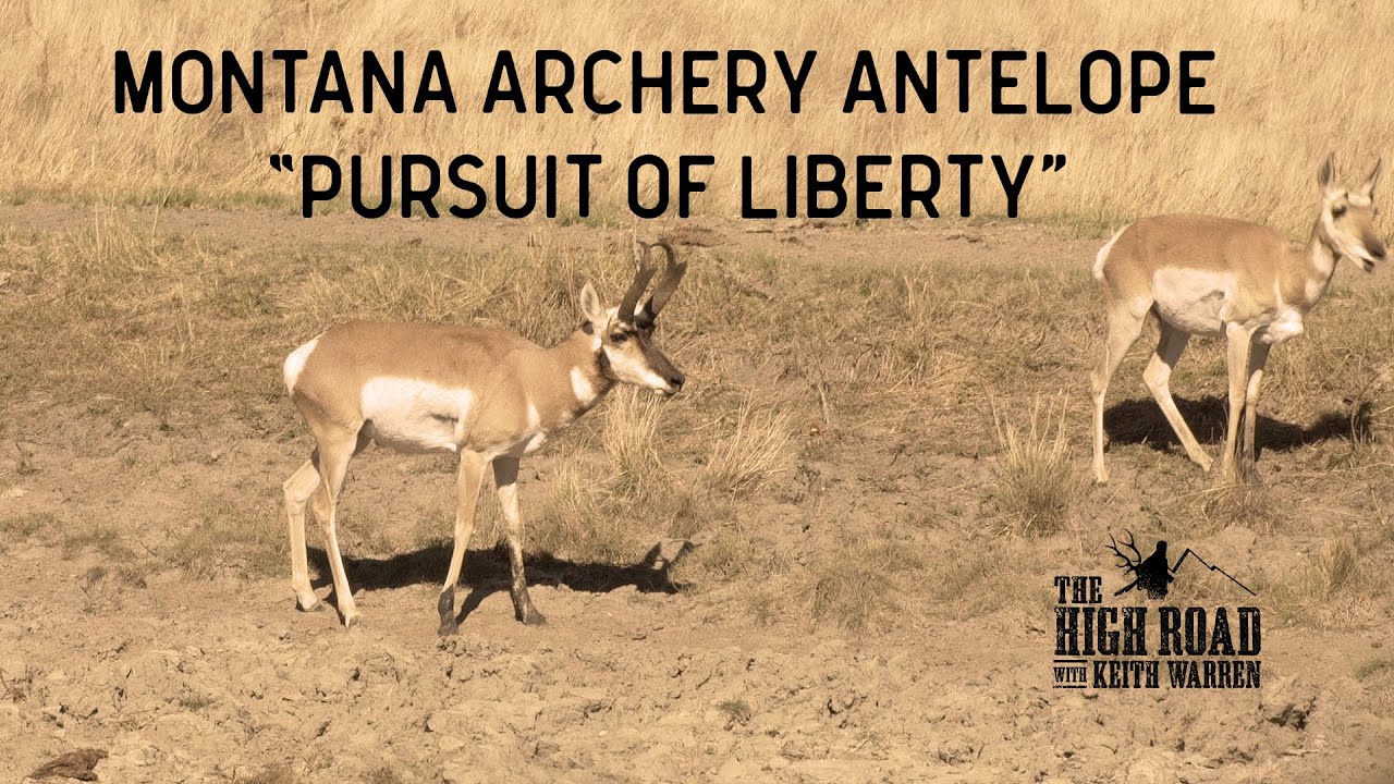 Montana Archery Antelope "Pursuit of Liberty" YouTube