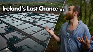 Ireland’s Peatlands Are Disappearing — Can They Be Saved?