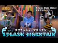 【おうちで再現】東京ディズニーランド/スプラッシュ・マウンテン Splash Mountain HomeMadeDisney
