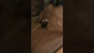 Snek is done an offend
After this was filmed, he slowly retreated into his hide Snek is done an offend