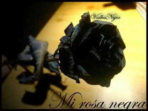 Eres mi rosa negra - Versión Porta & Bazzel