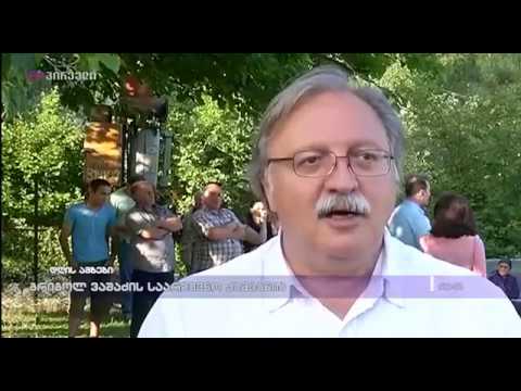 გრიგოლ ვაშაძის საარჩევნო კამპანია