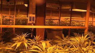 12,000 Watt Grow Revisited