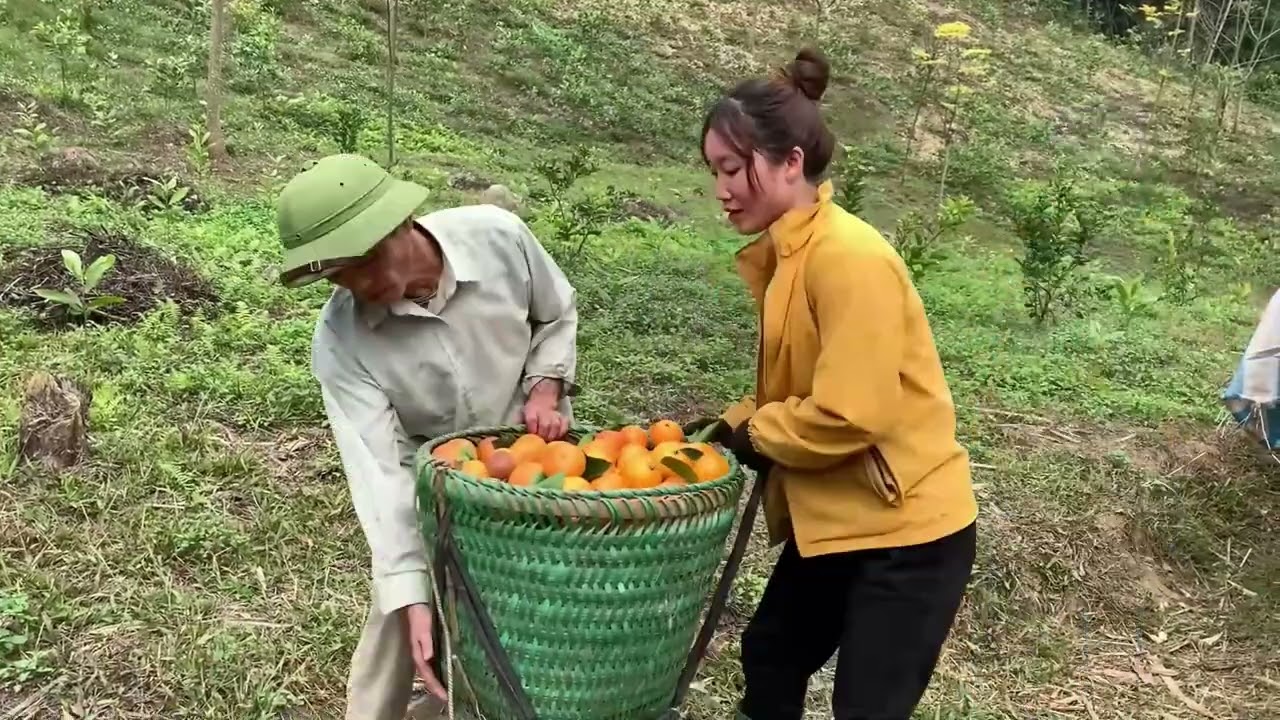 Powerful Agricultural Transport Vehicles – Moving Heavy Farm Equipment