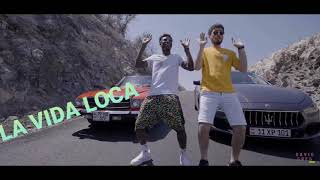 David Greg feat. King Ski - La Vida Loca