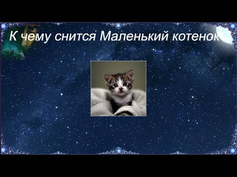 К чему снится Маленький котенок (Сонник)