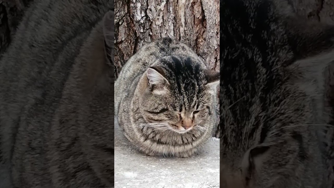 -24° 23 января 2026г. Сбербанк 2202203654418625 Елена К. Kaspi +7 771 194 42 69 Глеб Т.