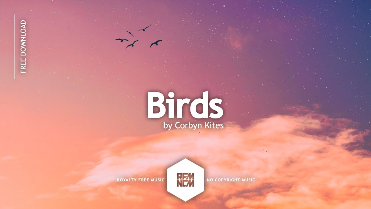 ⁣Free Background Music No Copyright Instrumental [Birds - Corbyn Kites] Vlog Music For Video Editing