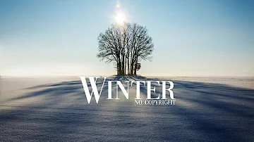 【4K】 Snowfall Winter | Free Stock Footage | No Copyright videos | Royalty free drone shots