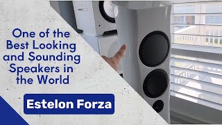 Estelon Forza Speaker Install - One of the Best Looking and Sounding Speakers in the World