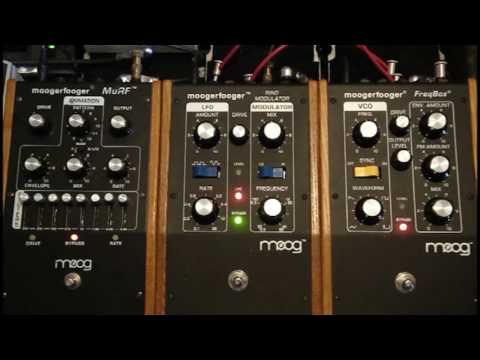 Moogerfooger CV: MF-102 Ring Modulator Carrier In (Demo)