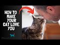 10 Scientific Ways to Get A Cat to Love You