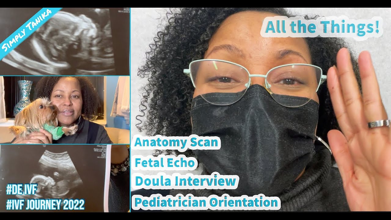 Anatomy Scan, Fetal Echocardiogram and All The Things! | IVF Success | Simply Tanika