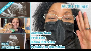 Anatomy Scan, Fetal Echocardiogram and All The Things! | IVF Success | Simply Tanika