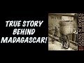 Guns N' Roses: The True Story Behind Madagascar Chinese Democracy