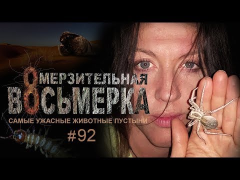 the most terrifying animals that inhabit the Uzbek desert // Just Like the Animals