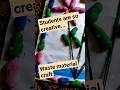 #wastematerialcraft ....#zero investment craft... #art🎄 #primaryschool beautiful creative ideas💡🥰