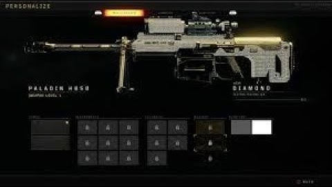 COD: BLACK OPS 4 the most insane paladin class setup