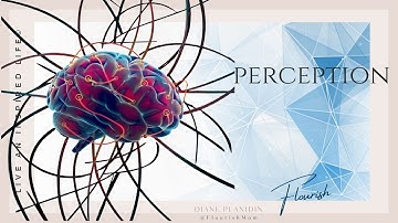 Multi-Modal Perception - The Visual World | Psych-100 | Chapter 24 | Flourish with Diane Planidin