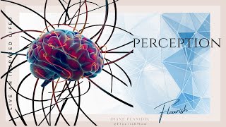 Multi-Modal Perception - The Visual World | Psych-100 | Chapter 24 | Flourish with Diane Planidin